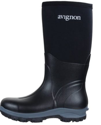 Avignon Polar